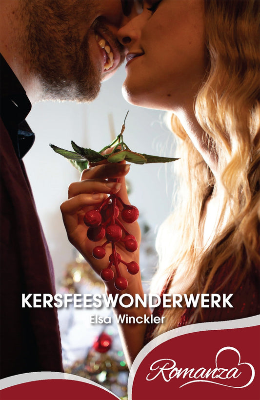 `n Kersfeeswonderwerk