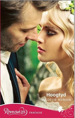 Hoogtyd
