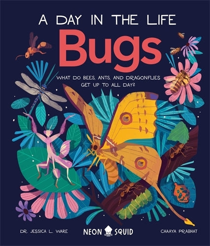 A Day in the Life Bugs