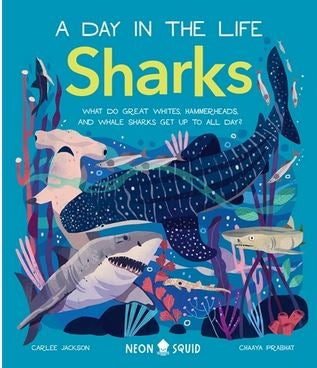 A Day in the Life Sharks