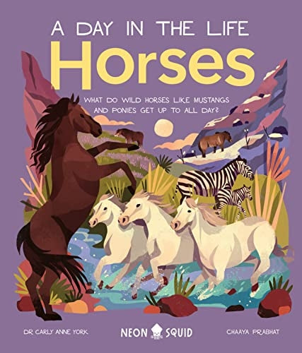 A Day in the Life Horses