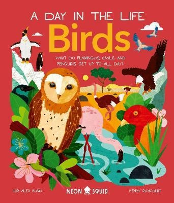A Day in the Life Birds