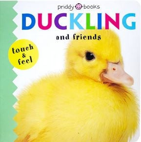 Duckling And Friends