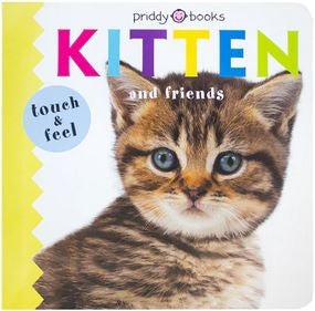 Kitten And Friends