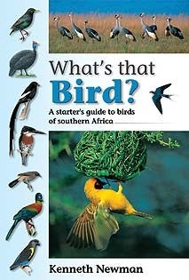 What's that Bird