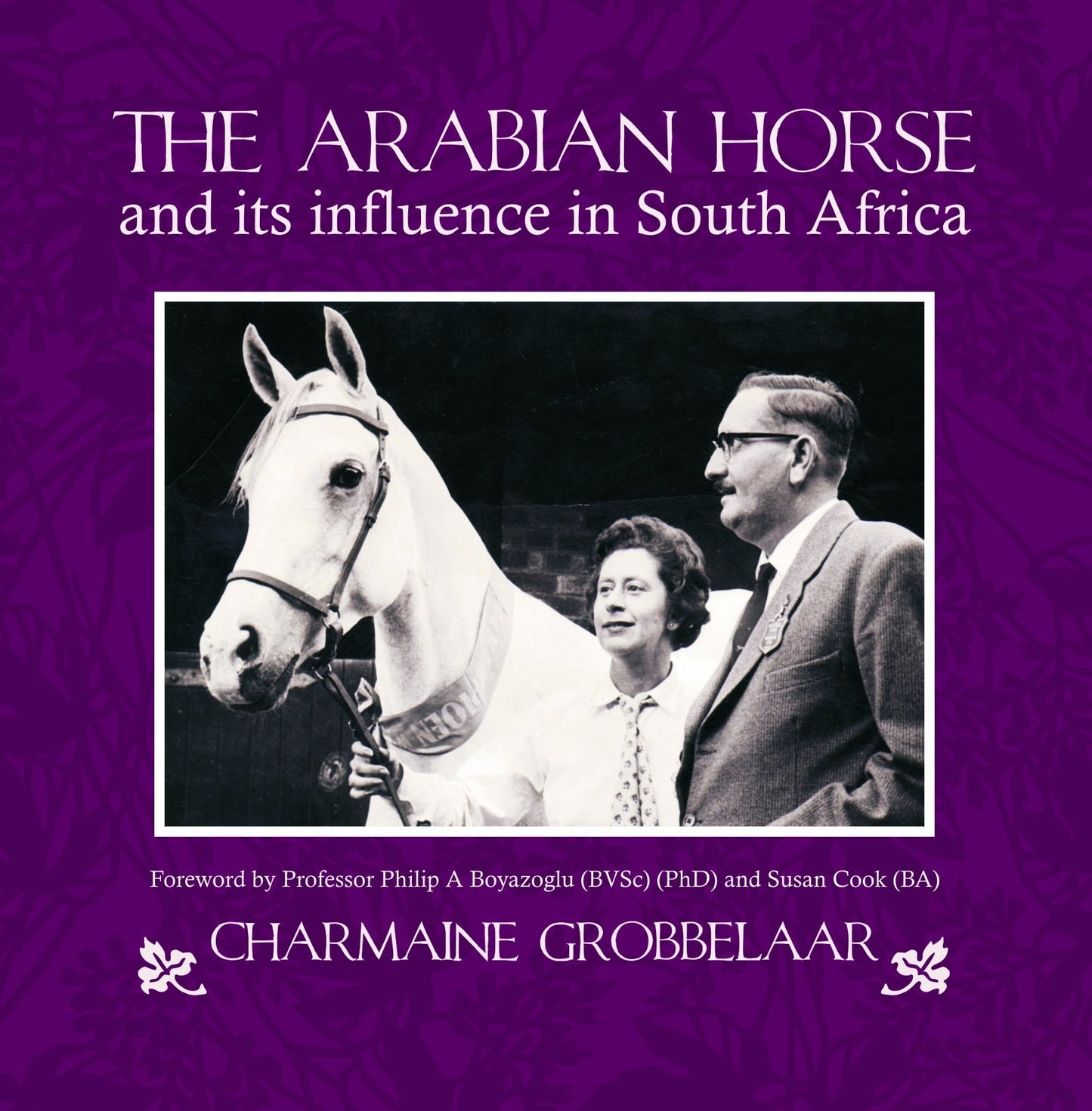 The Arabian Horse and Its Influence in South Africa