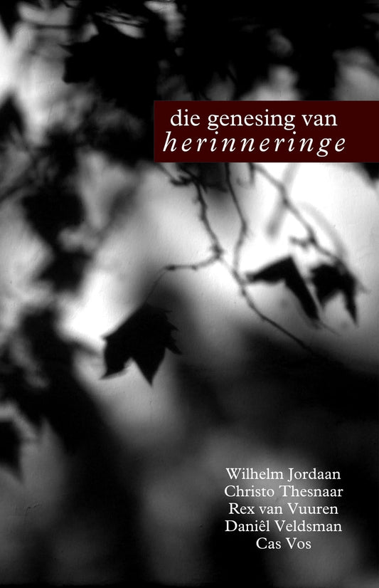 Die Genesing Van Herinneringe