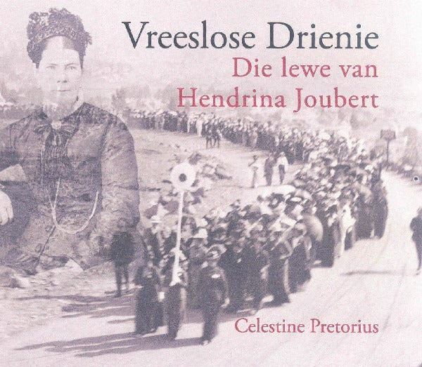 Vreeslose Drienie