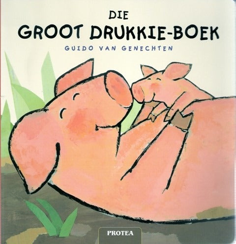 Groot Drukkie Boek