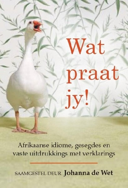 Wat praat jy