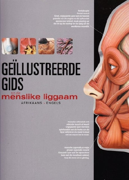 Geïllustreerde gids tot die menslike liggaam