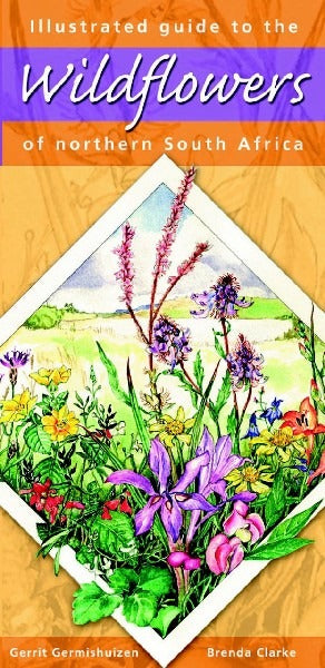 Illustrated Guide to the Wildflowers of Northern South Africa