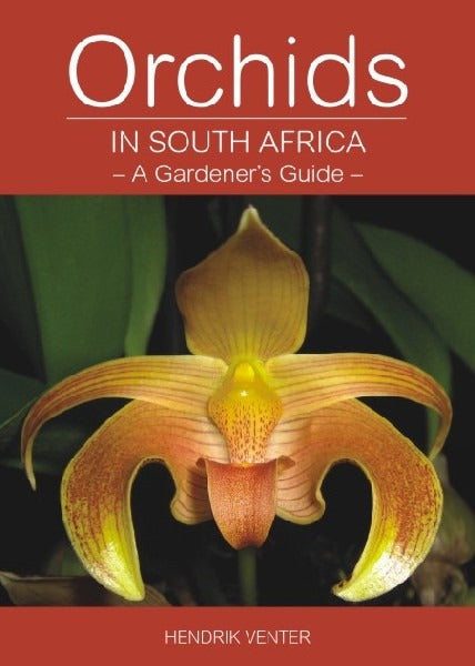 Orchids in South Africa - A Gardener's Guide