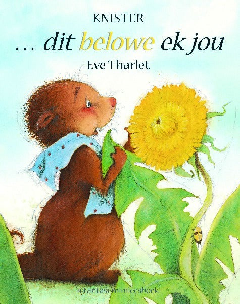 Fantasi Minileesboek: Dit belowe ek jou