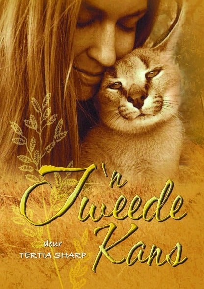 Tweede kans