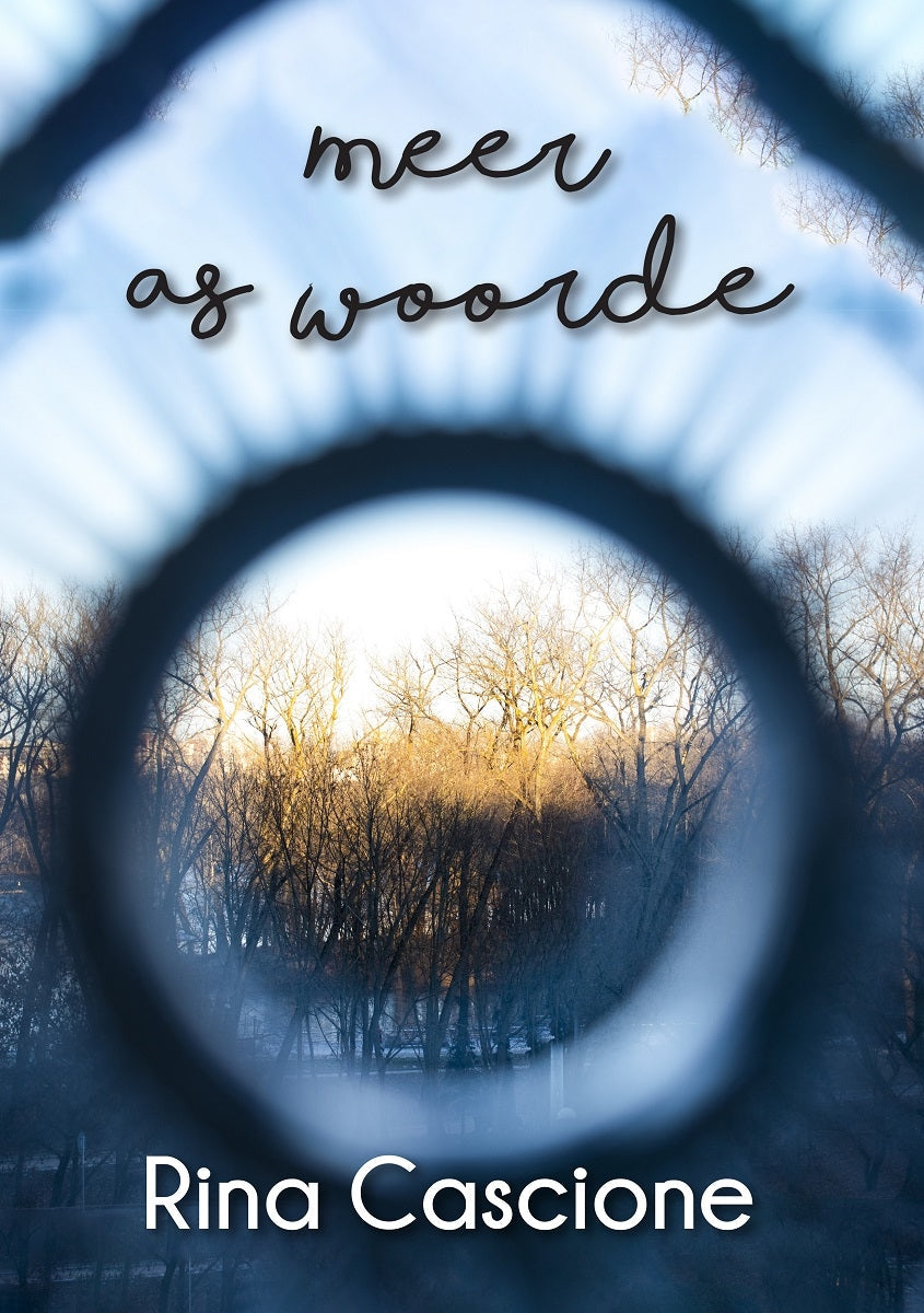 Meer as woorde