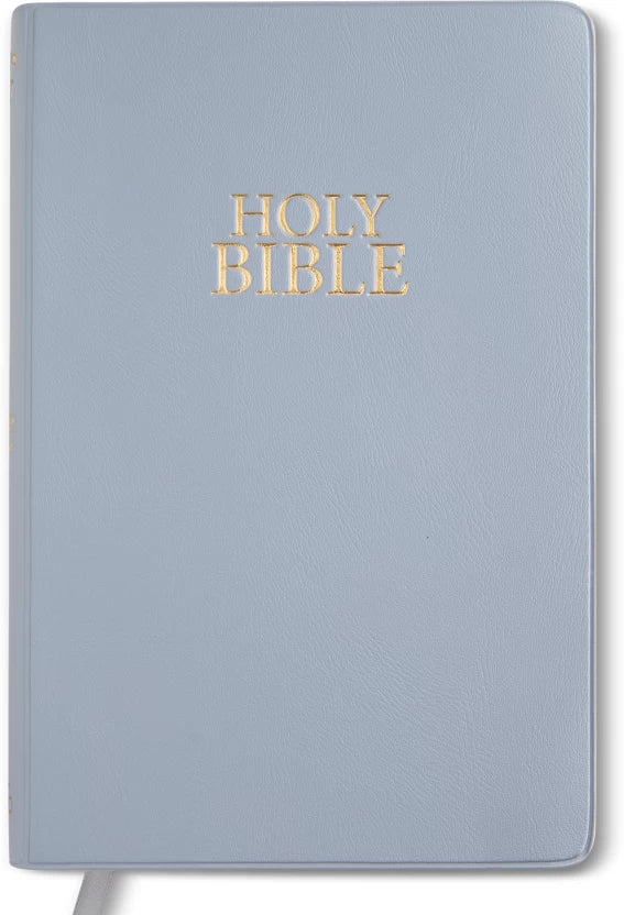 Bible Steel Blue Vinyl
